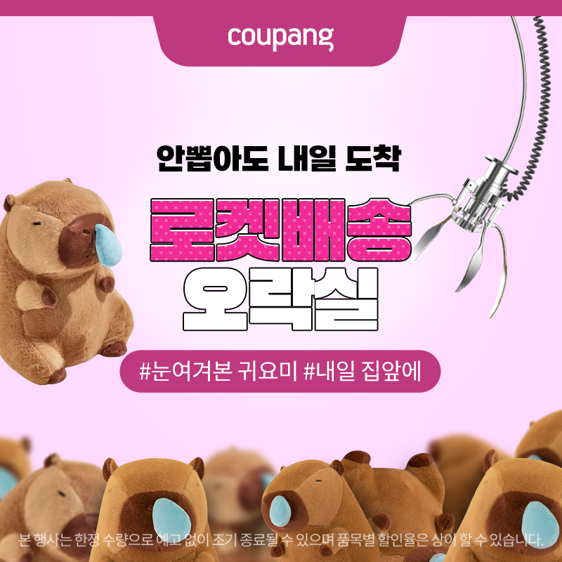 내일 도착하는 귀여운 카피바라 인형